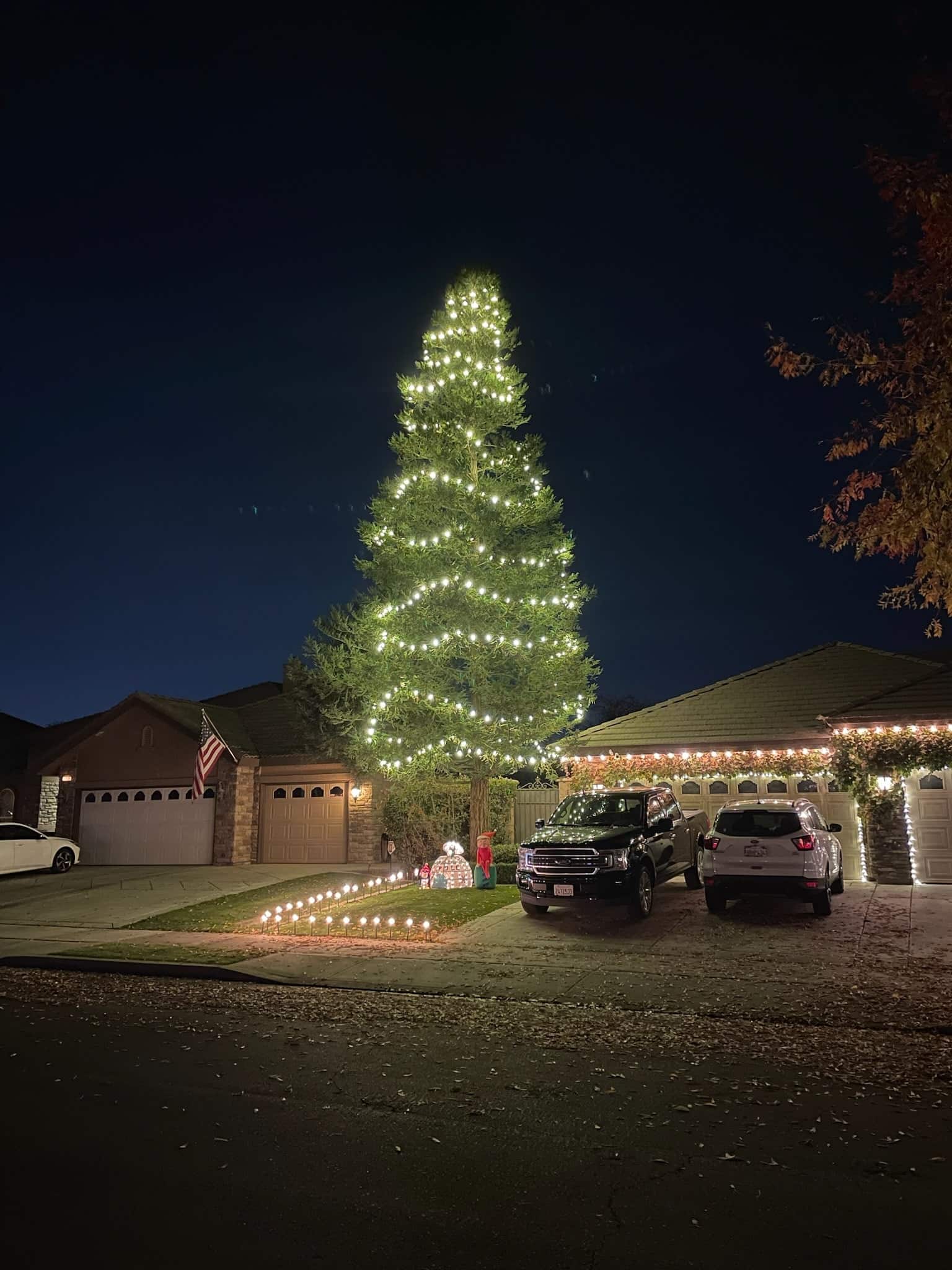A towering evergreen wrapped top to bottom in warm white lights