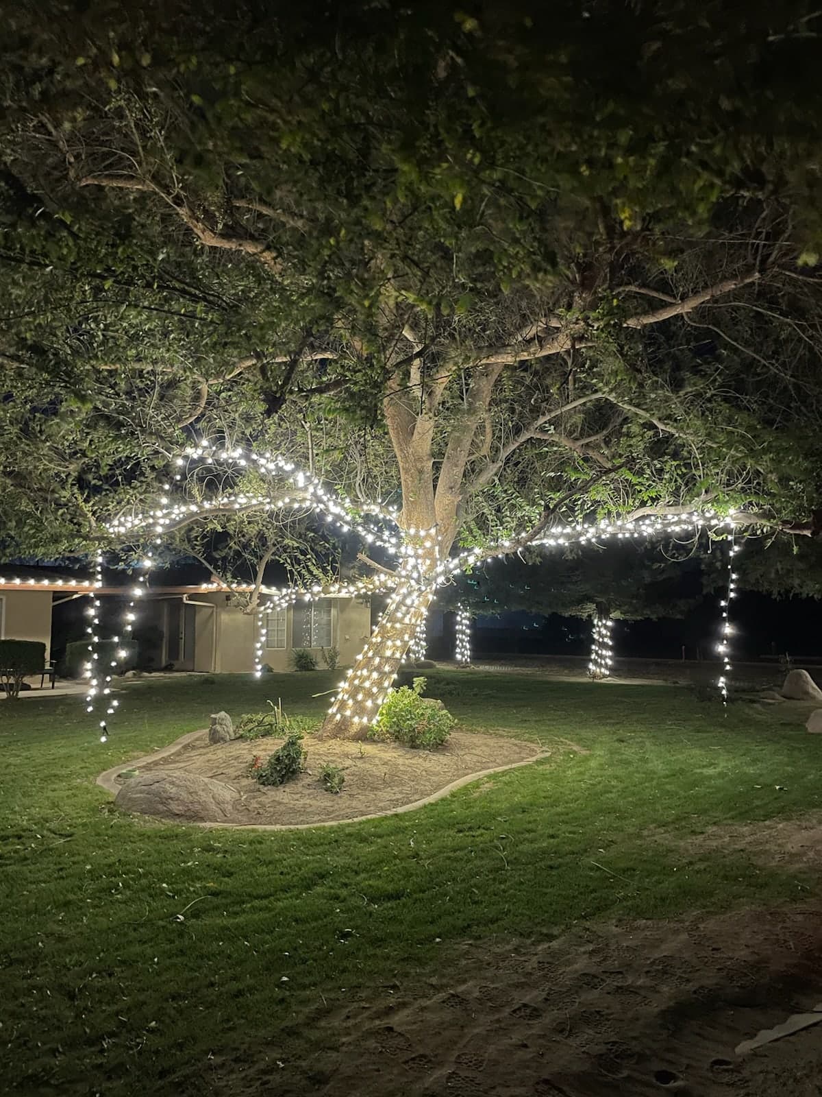 Warm White Cascade Drops on this gorgeous tree. Christmas light installation by Bright Idea Christmas Lights.